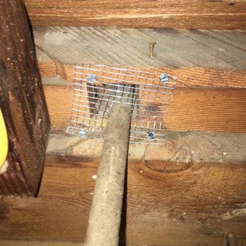 SuperGreen Insulation - All possible entry points for rodents were sealed off. - Insulation Installation Near Me
