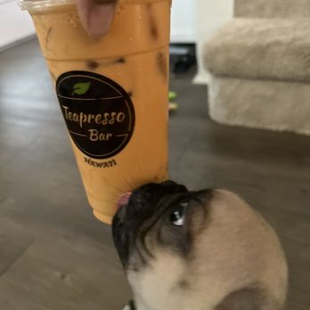 Teapresso Bar - Ewa Beach - Thai Milk Tea and Rocky - Coffee & Tea Near Me - Ewa Beach, Hawaii