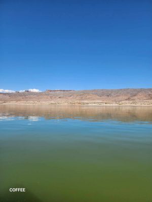 Temple Bar Marina by null