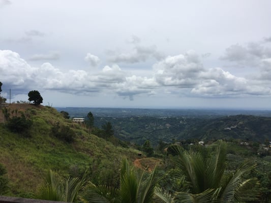 Cafetin Los Amigos by null