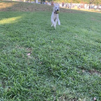 Fletcher “Fetch” Dog Park - My puppy playing with a ball - Dog Parks Near Me - El Monte, California