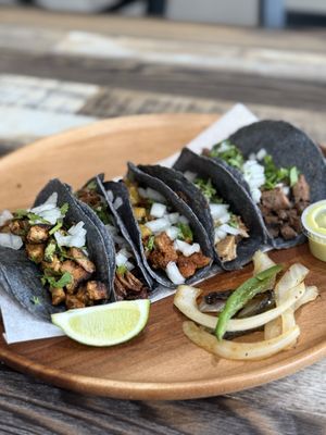 Blue Corn Tacos by null