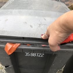 Waste Management