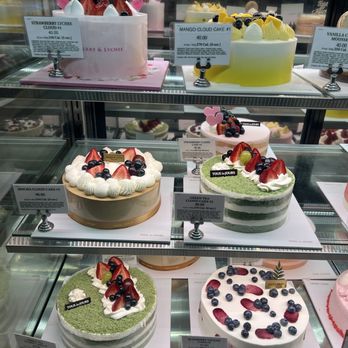 Tous Les Jours - Cakes - Desserts Near Me - Plymouth, Minnesota