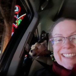 Piper Lights - Christmas Holiday Lights - Look at my dog in the backseat. It was his first time going and he loved it!