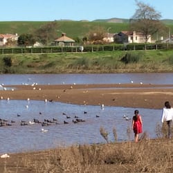 Santa Maria Valley Multi-Purpose Trail