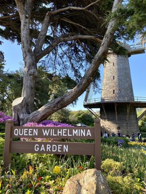Dutch Windmill by null