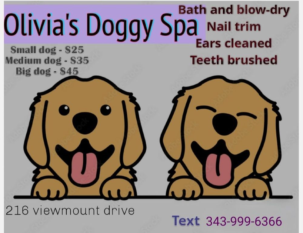 OLIVIA’S DOGGY SPA Updated September 2024 Request an Appointment