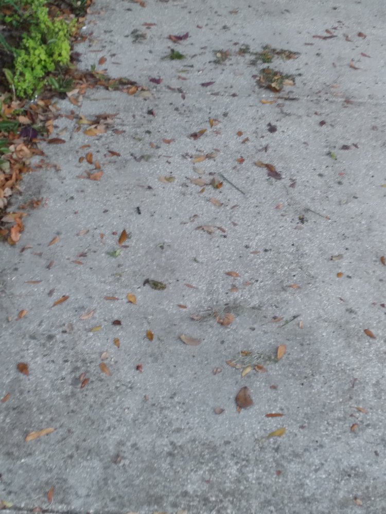 REVERE LANDINGS Updated September 2024 140 Photos 1520 E Fletcher