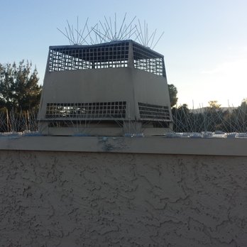 Goldstar Services - We have this chimney covered - Pest Control Near Me - LAS VEGAS, Nevada