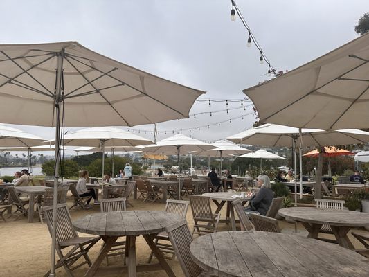 Superbloom Coffee & Juice by null