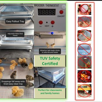 Serenity Sprouts - Compare brooder to traditional DIY options - Livestock Feed & Supply Near Me