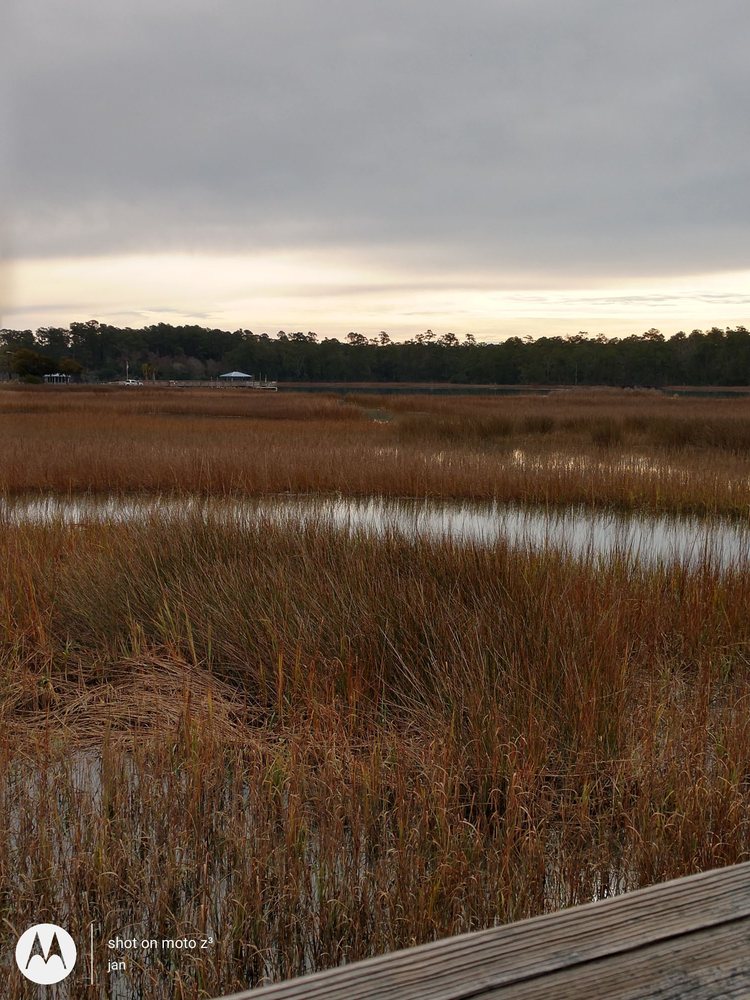 Vereen Memorial Gardens