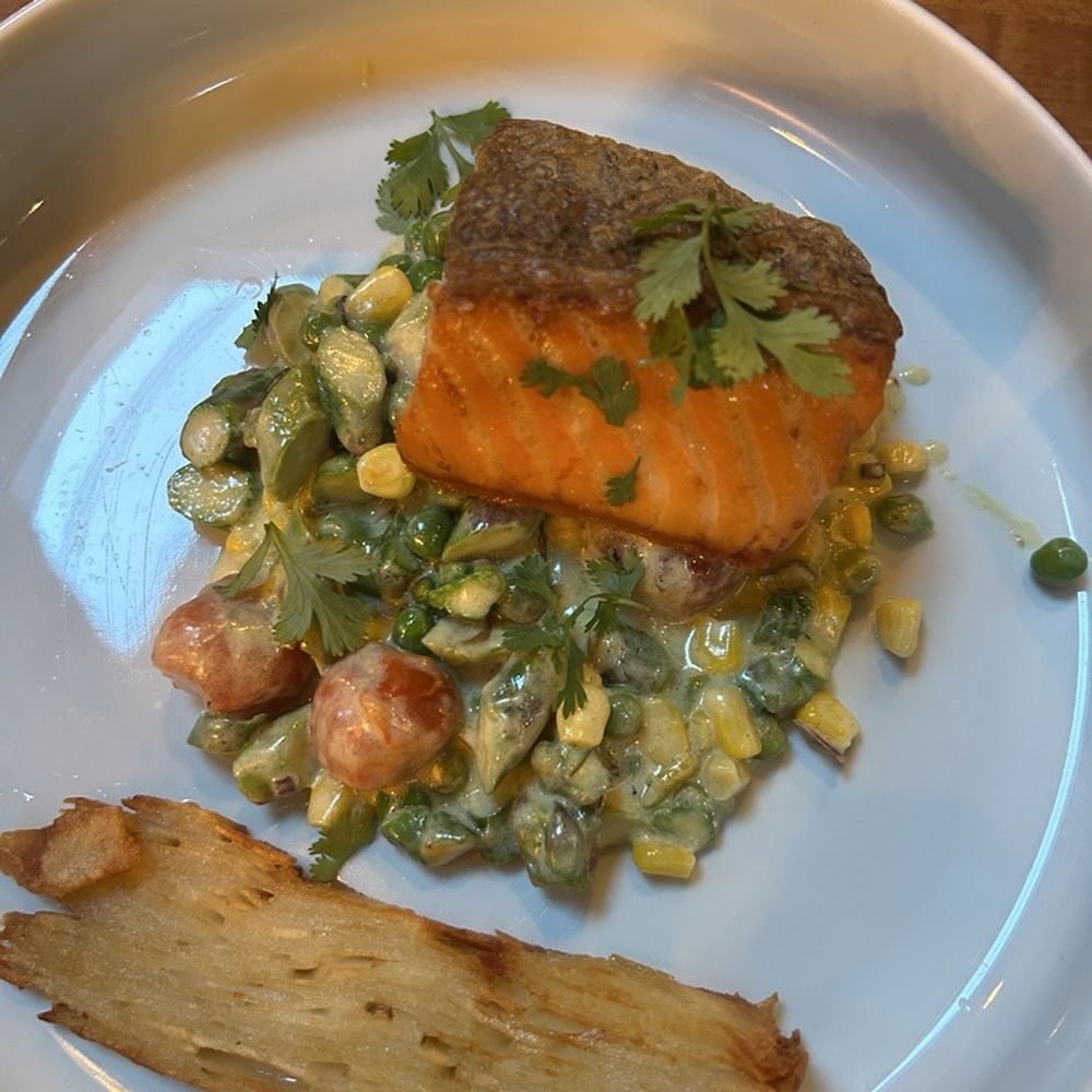 salmon salmon