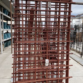 Star Nursery - Picked up this 4ft trellis was a bit pricey  But that's what you pay for being too lazy to make one. - Nurseries & Gardening Near Me - Las Vegas, Nevada