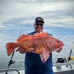 Valdez Saltwater Adventures - Yellow eye