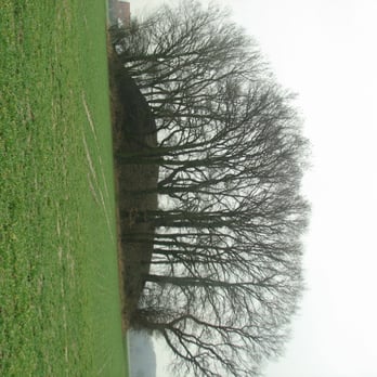 Kummerhaufen - Funeral Services & Cemeteries Near Me