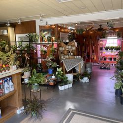 CDS Nursery & Landscaping