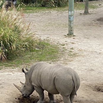 Virginia Zoo - Zoos Near Me - Norfolk, Virginia