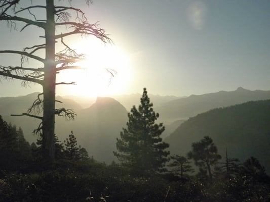 Tamarack Flat Campground by null