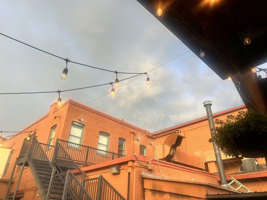 Bella Colibri by null