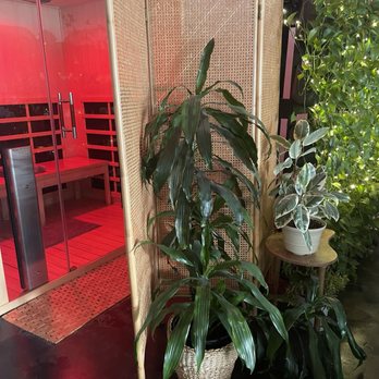 The Space - Yoga Near Me - Sacramento, California