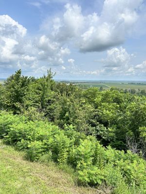 Four State Lookout by null