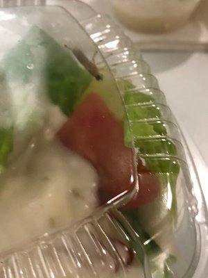 Fordee's Falafel & Deli by null