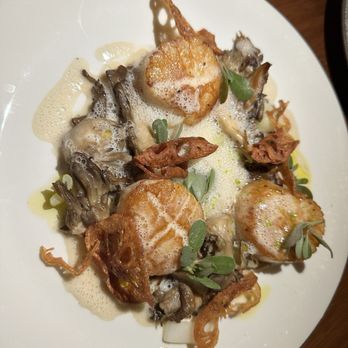 Camelia - Scallops - French Near Me - Los Angeles, California Camelia - Scallops - French Near Me - Los Angeles, California