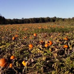 Nienaber's Farm Market