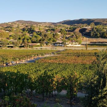 Cougar Vineyard & Winery - Wineries Near Me - Temecula, California Cougar Vineyard & Winery - Wineries Near Me - Temecula, California