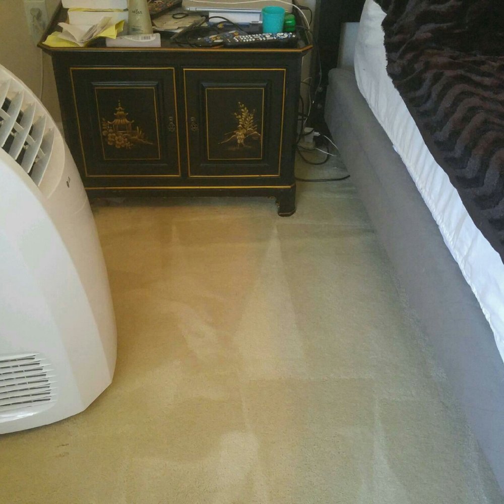 Carpet Recovery Plus - Same area of carpet after! - Carpet Cleaning Near Me - Princeton, New Jersey Carpet Recovery Plus - Same area of carpet after! - Carpet Cleaning Near Me - Princeton, New Jersey