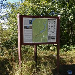 Wildcat Ridge Wildlife Management Area - Hawk Information