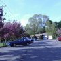 Photo of Beckwith's Auto Sales