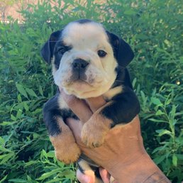 One of our squishy babies