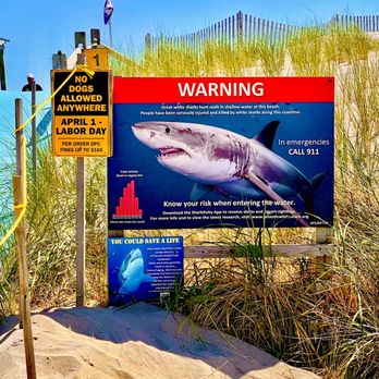 Nauset Beach - I feel safe now! Where's Chief Brody? - Beaches Near Me - Orleans, Massachusetts