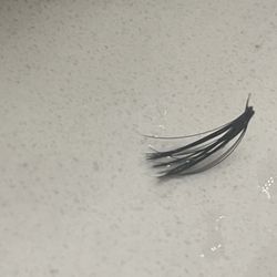 INDIVIDUAL LASHES IS A JOKE