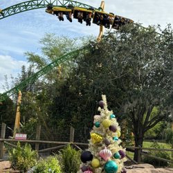 Cheetah Hunt
