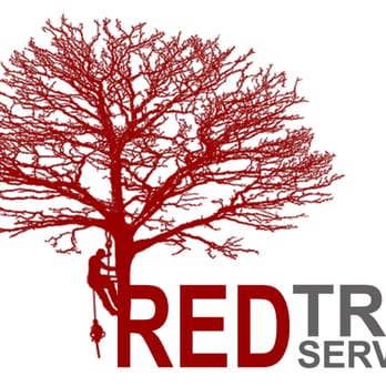 Red Tree Services - Tree Services Near Me - Bradford, XWY Red Tree Services - Tree Services Near Me - Bradford, XWY