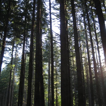 Middle Fork Campground - Campgrounds Near Me - North Bend, Washington