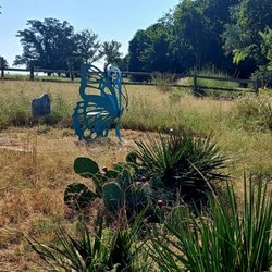 Lady Bird Johnson Municipal Park