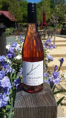 Witching Stick Wines by null
