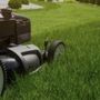 Photo of Vad Lawnscape
