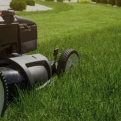 Vad Lawnscape