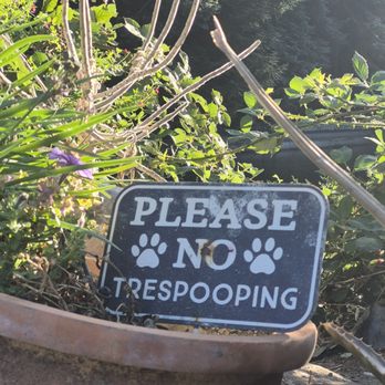 Alice's Restaurant - Dog friendly! - Diners Near Me - Woodside, California Alice's Restaurant - Dog friendly! - Diners Near Me - Woodside, California