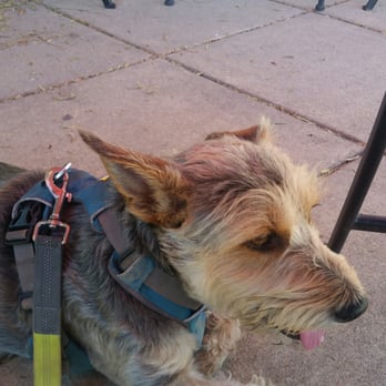 Rail Side Cafe - Lots of seating outside. Dogs welcome! - Coffee & Tea Near Me - San Dimas, California