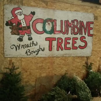 Columbine Christmas Trees - Looks like this when it's dark outside - Christmas Trees Near Me - Glendale, Colorado Columbine Christmas Trees - Looks like this when it's dark outside - Christmas Trees Near Me - Glendale, Colorado
