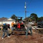 Photo of Tree Works Plus