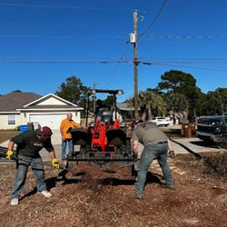 Tree Works Plus