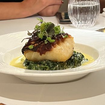 La Noma - The Chilean Sea Bass, cooked to perfection - Steakhouses Near Me - Fort Lee, New Jersey